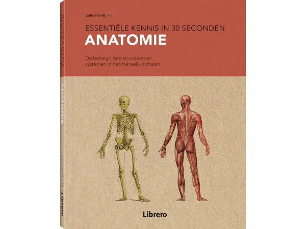 anatomie in 30 seconden